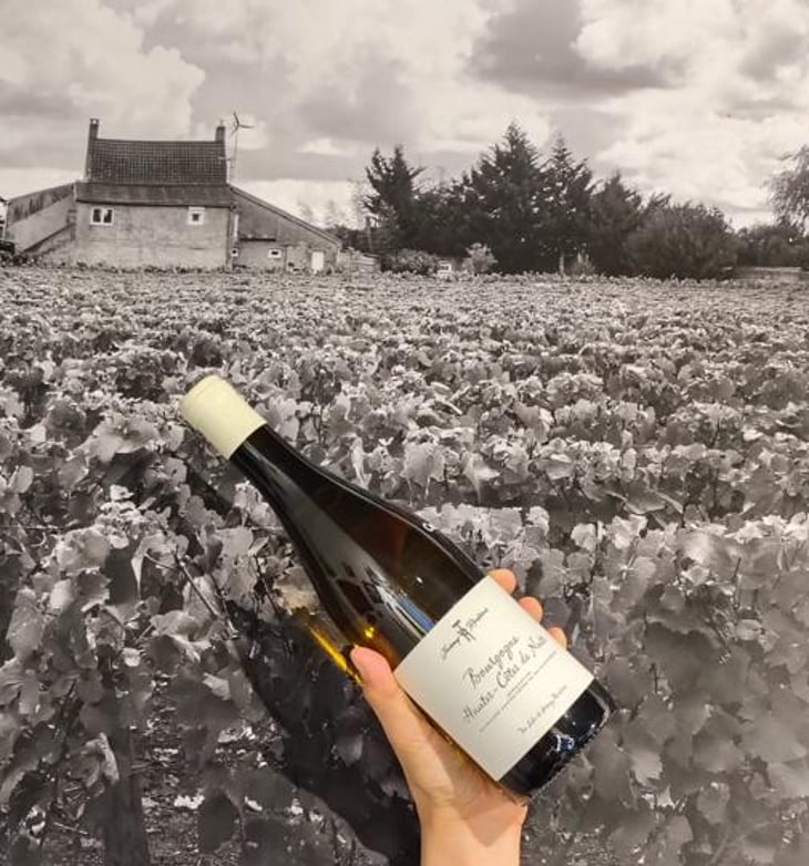 Bourgogne Hautes Côtesde Nuits Blanc - Jérémy Recchione - Jérémy Recchione -2021
