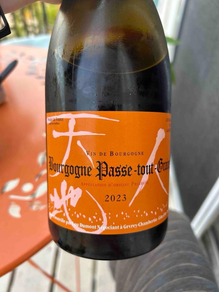 Bourgogne Passe-tout-Grains - Maison Lou Dumont - Kojii Nakada -2020