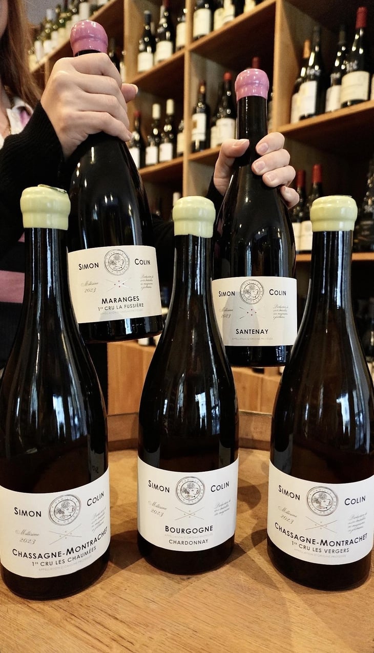 Bourgogne - Simon Colin - Simon Colin -2023