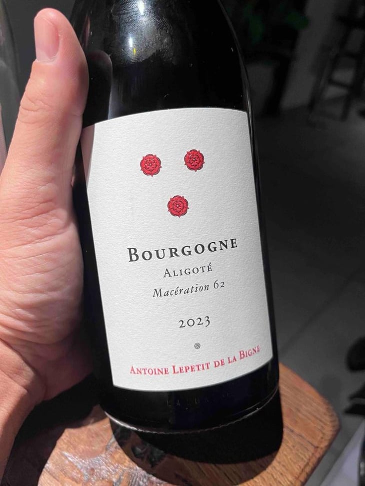 Bourgogne - Antoine Lepetit de la bigne - Antoine Lepetit de la bigne -2022
