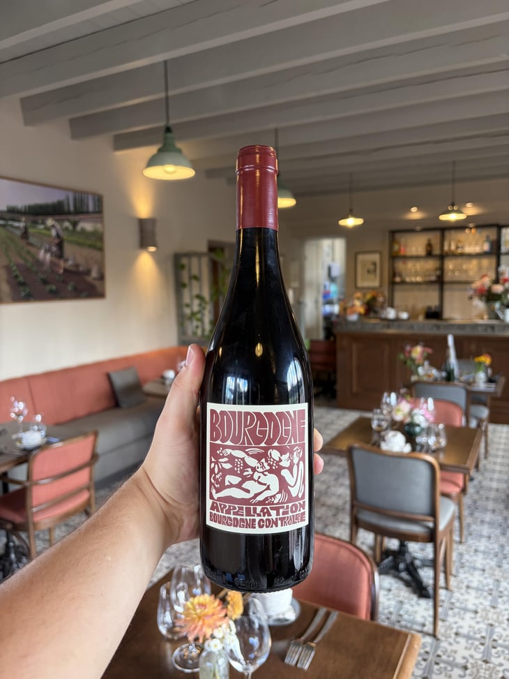 Bourgogne Rouge - Domaine de La Soeur Cadette - Jean & Valentin Montanet 