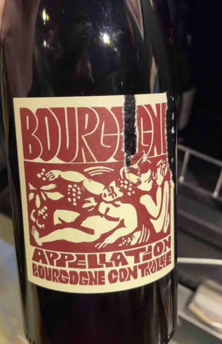Bourgogne Rouge - Domaine de La Soeur Cadette - Jean & Valentin Montanet 