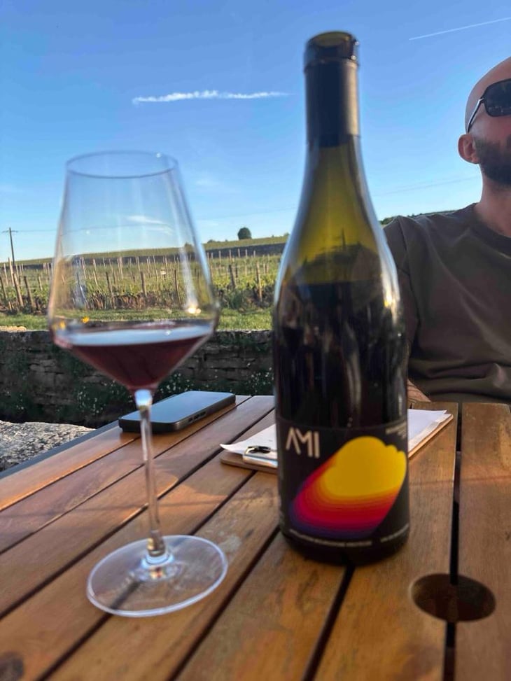 Bourgogne Rouge / Neige de printemps - Domaine Ami - Paul Marchand-Perarnau & Willy Roulendes -2021