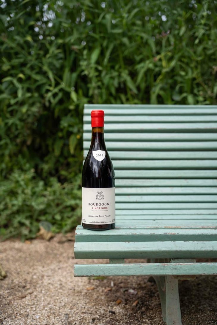 Bourgogne - Domaine Pavelot - Luc & Lise Pavelot -2019