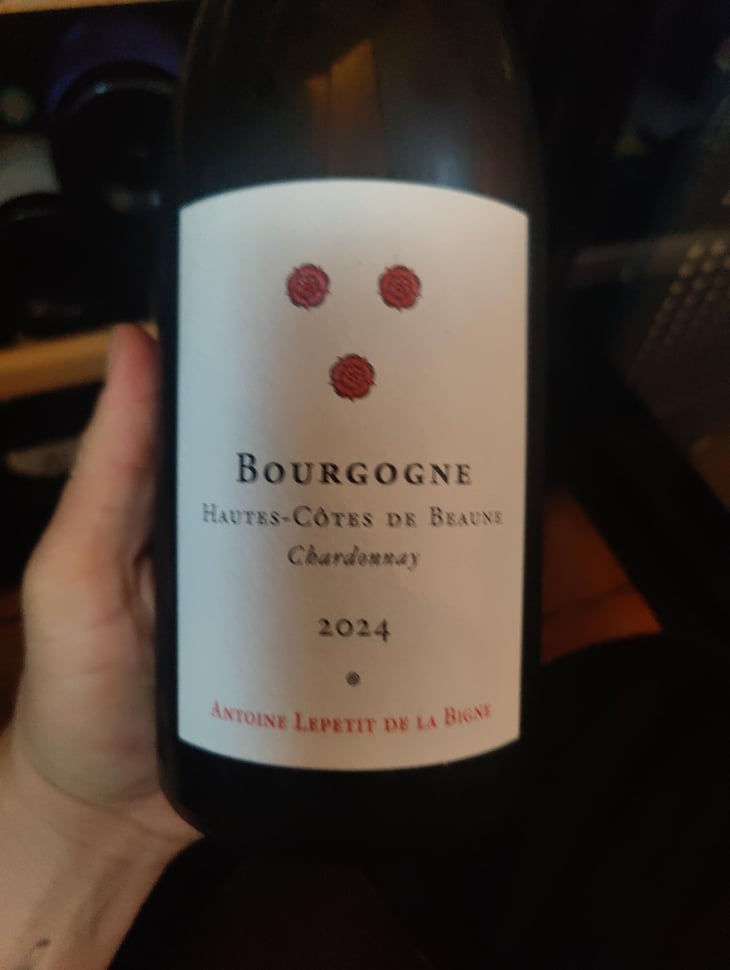 Bourgogne - Antoine Lepetit de la bigne - Antoine Lepetit de la bigne -2022