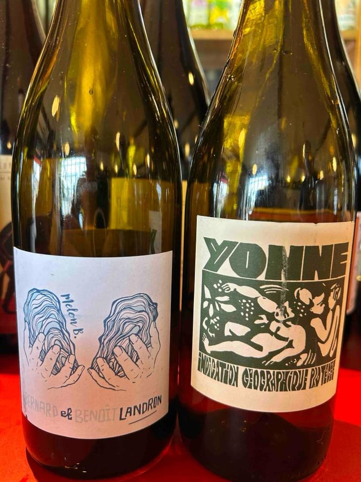 Bourgogne Vézelay - Domaine de La Soeur Cadette - Jean & Valentin Montanet 