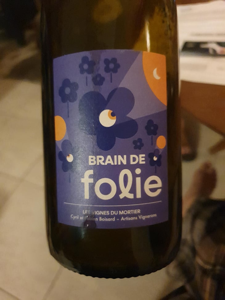 Brain de Folie Pineau d'Aunis - Domaine du Mortier - Fabien & Cyril Boisard -2023