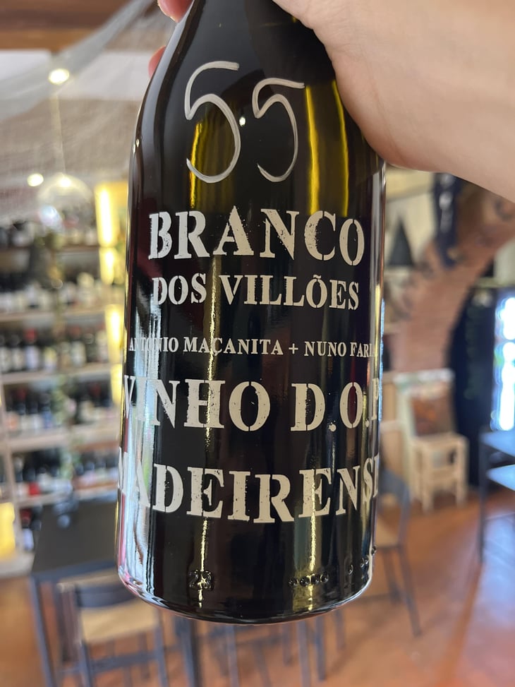Branco dos Villões - Antonio Maçanita - António Maçanita -2025