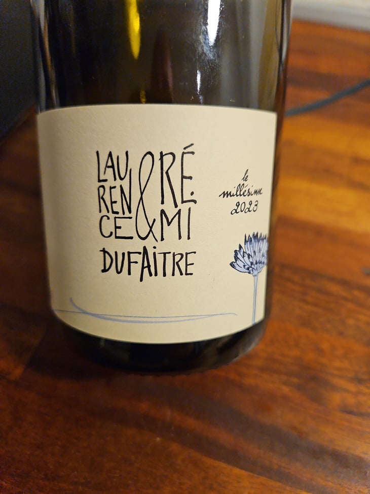 Brouilly - Domaine de Botheland - Rémi Dufaitre & Laurence Liatard 