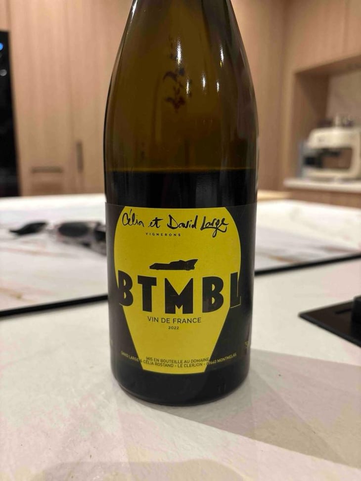 BTMBL - David Large - Célia Rostand et David Large -2022
