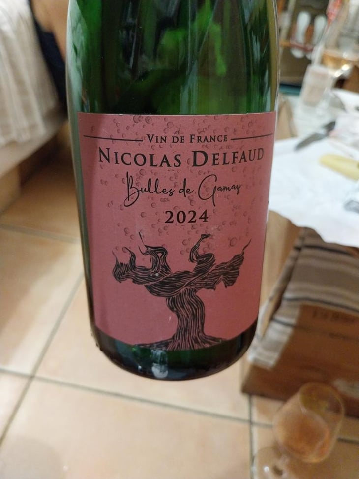 Bulles de Gamay - Domaine Nicolas Delfaud - Nicolas Delfaud -2023