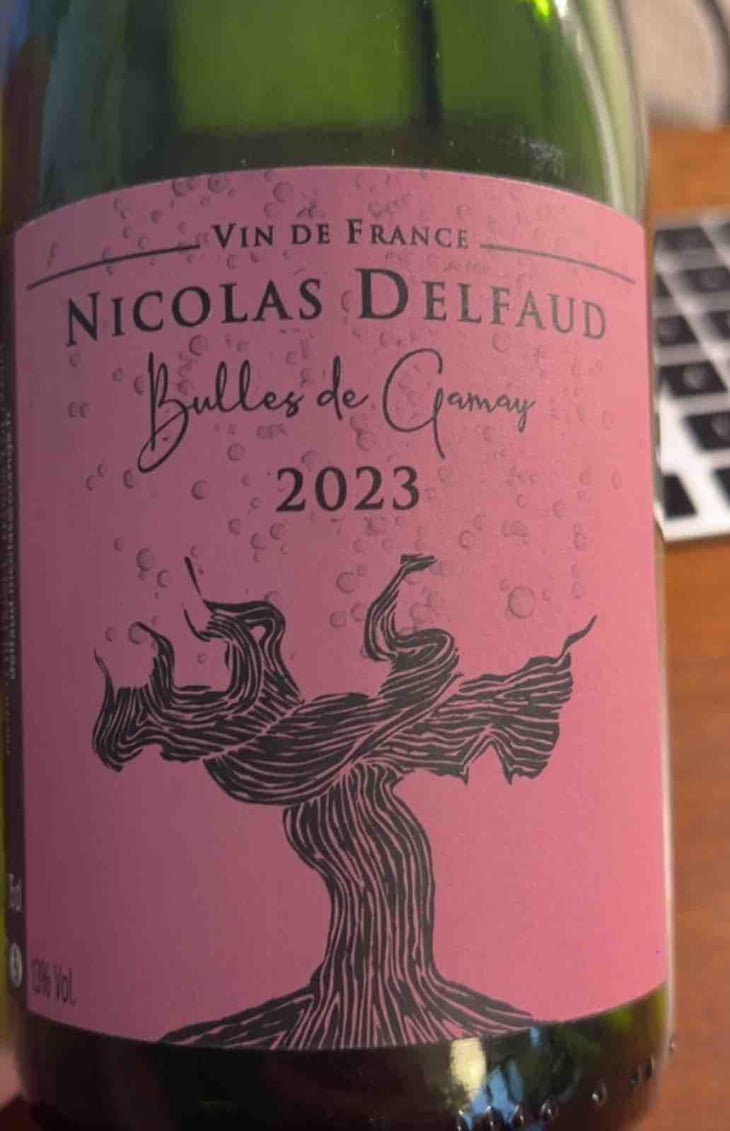 Bulles de Gamay - Domaine Nicolas Delfaud - Nicolas Delfaud -2023