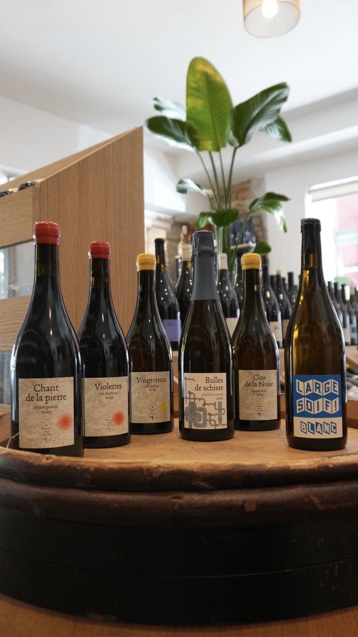 Bulles de Schiste - Terra Vita Vinum - Bénédicte & Luc Briand 