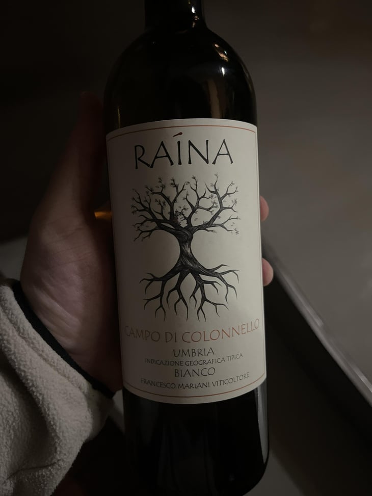 Campo di Colonnello - Raína - Francesco Mariani -2022