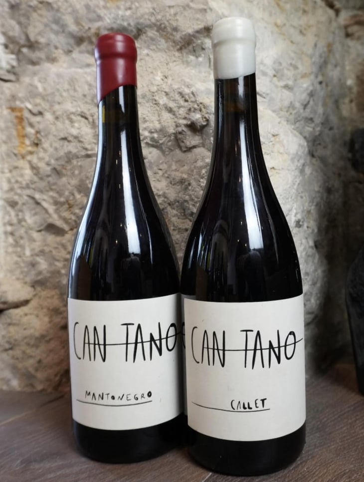 Can Tano - Ca Sa Padrina - Famille Suñer -2025