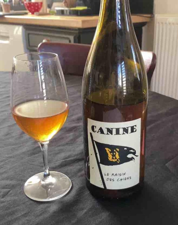 Canine (le raisin des chiens) - Le Batossay - Baptiste Cousin 