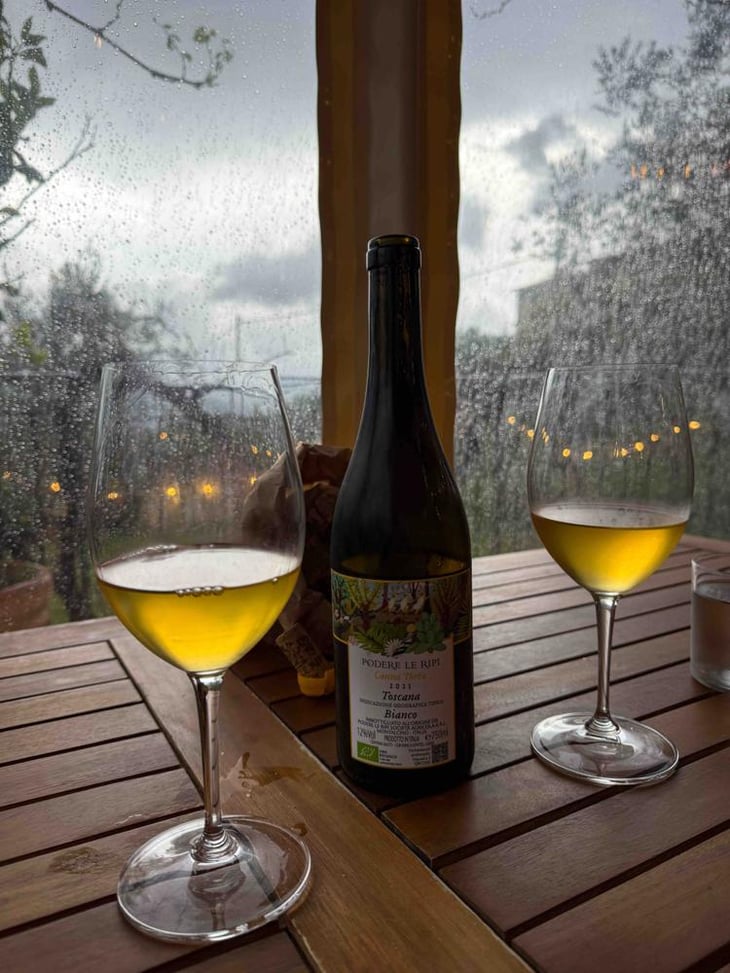 Canna Torta - Podere Le Ripi - Sebastian Nasello 