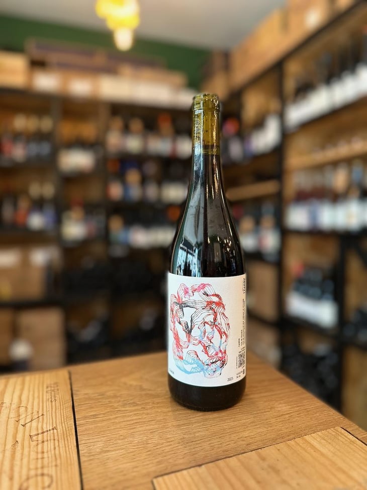 Canon - Domaine Léonine - Jordan Le Guyader -2024