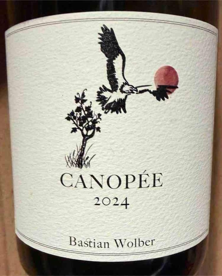 Canopée - Laisse Tomber - Bastian Wolber -2023