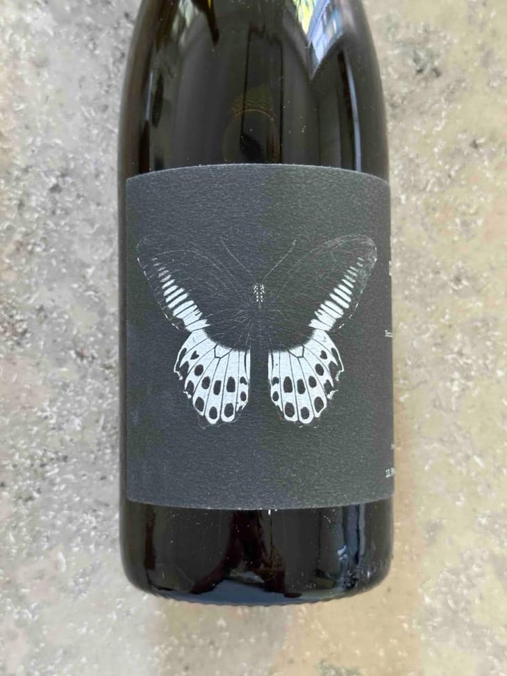 Carignan Blanc Foudre - Domaine Ledogar - Xavier, Mathieu & Benoît Ledogar 