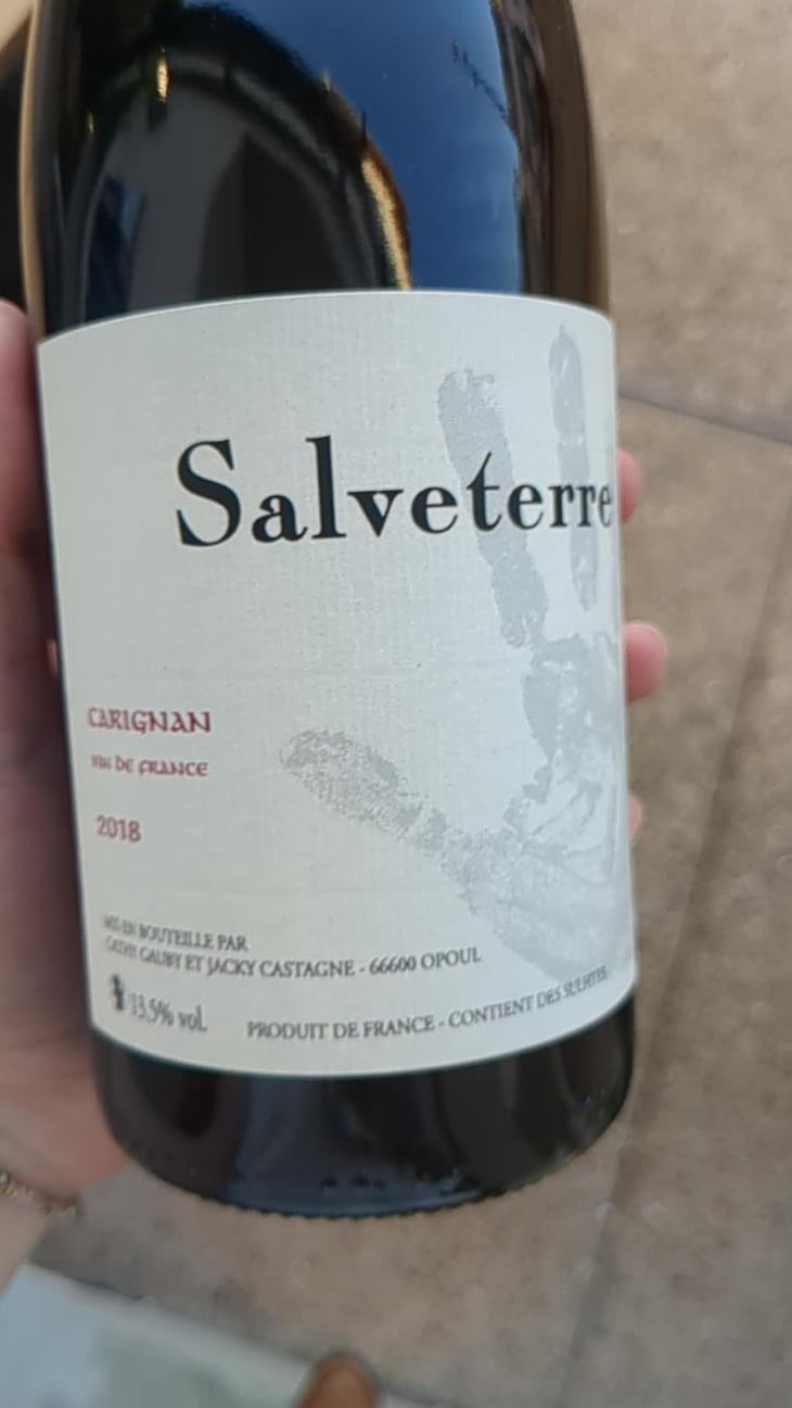VDF "Carignan" - Domaine Salveterre - Cathy & Jackie Castagne -2018