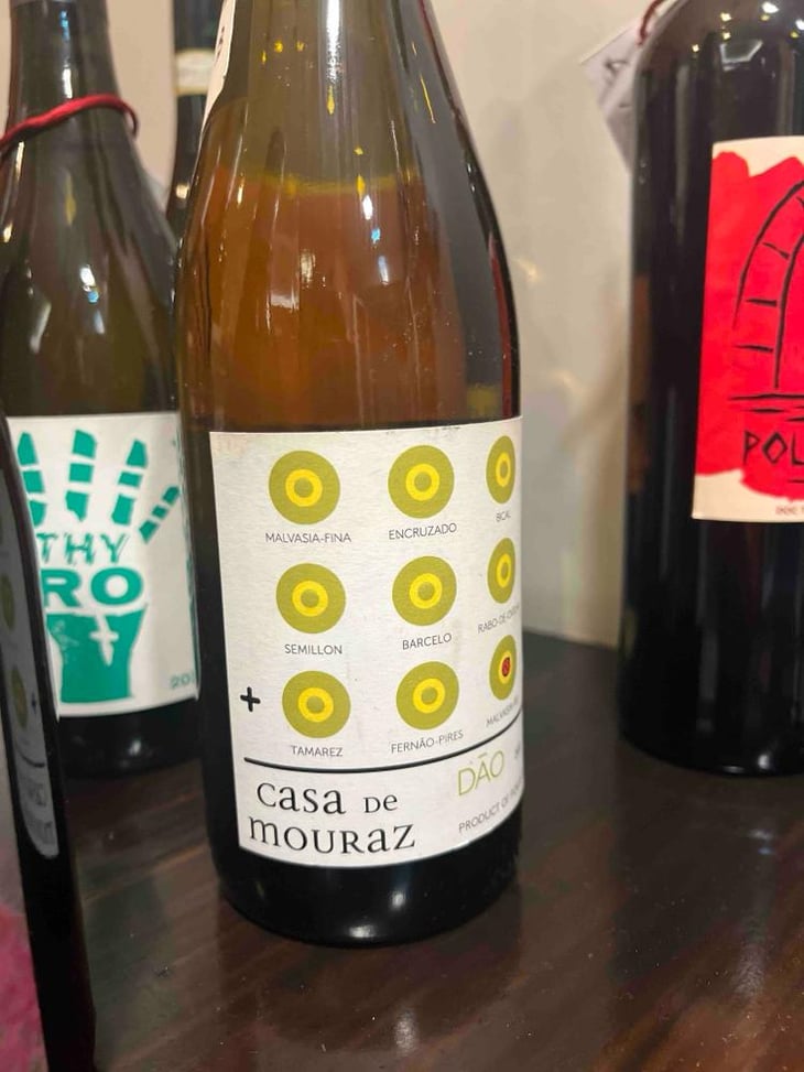 Casa de Mouraz Dão - Casa de Mouraz - António Lopes Ribeiro & Sara Dionisio 
