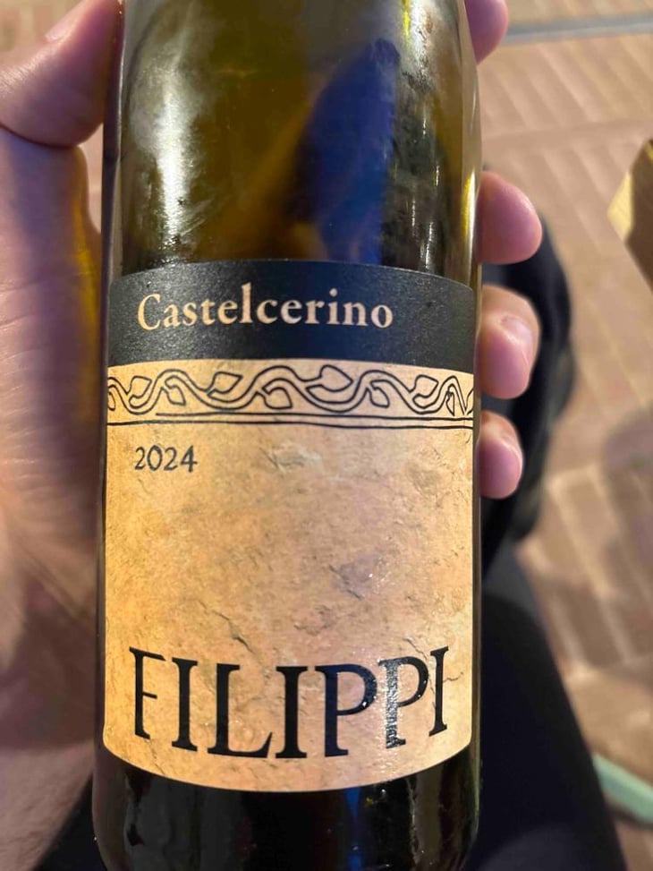 Castelcerino - Visco & Filippi Azienda Agricola - Filippo Filippi 