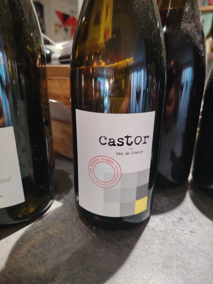 Castor - Les Bottes Rouges - Florien Klein Snuverink & Jean-Baptiste Menigoz 