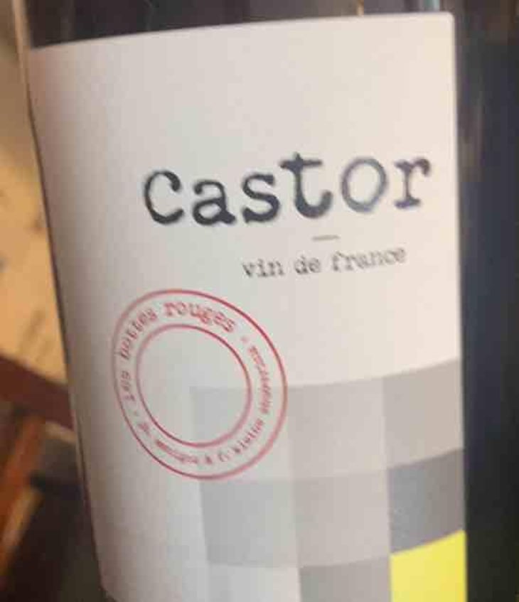 Castor - Les Bottes Rouges - Florien Klein Snuverink & Jean-Baptiste Menigoz 
