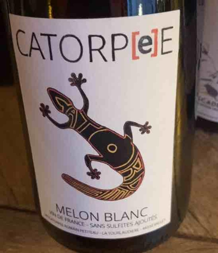 Catorpee Blanc - Domaine de la Tourlaudière - Romain Petiteau 