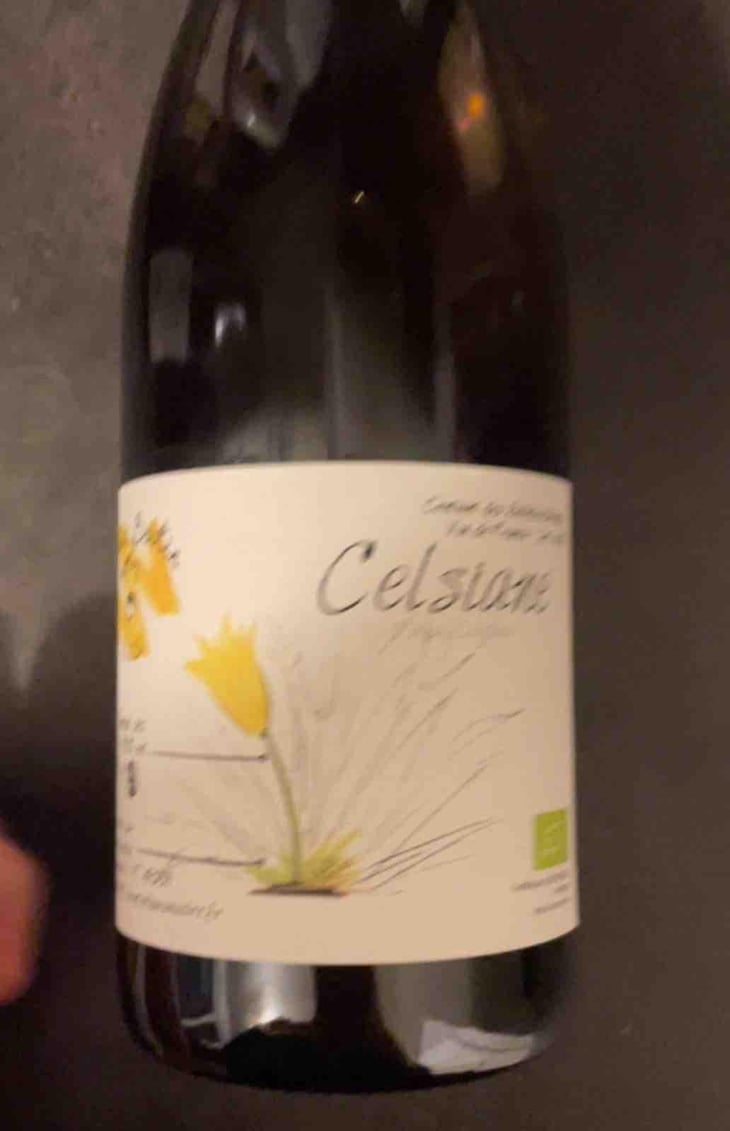 Celsiane - Thomas Boutin - Thomas Boutin 