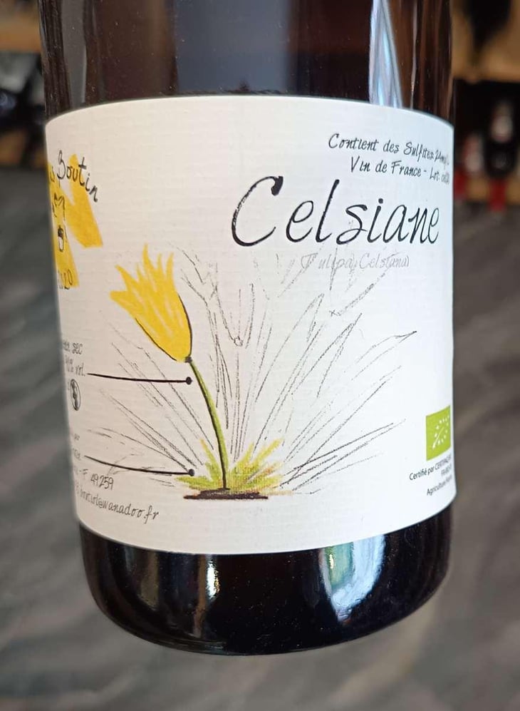 Celsiane - Thomas Boutin - Thomas Boutin 