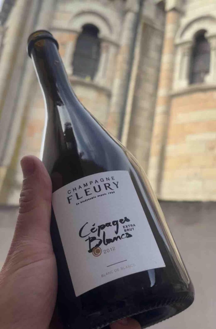 Cépages Blancs - Champagne Fleury - Morgane, Jean-Sébastien & Benoit Fleury 