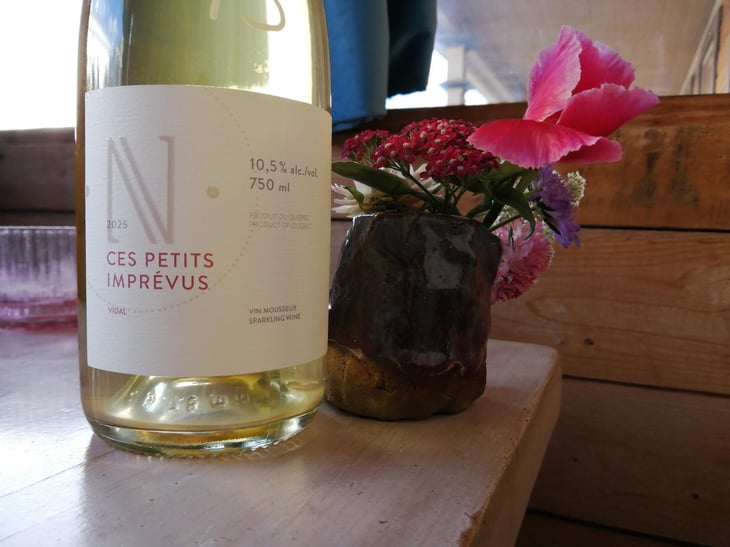 Ces petits imprévus - Domaine Du Nival - Denis & Mathieu Beauchemin 