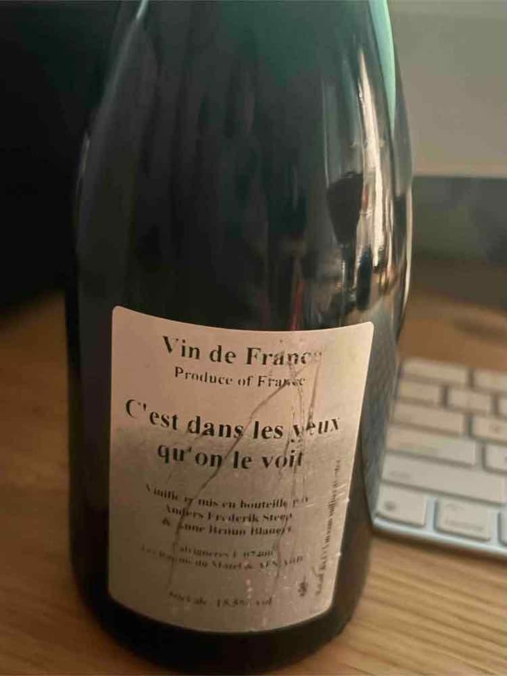 C’est dans les yeux qu’on le voit - Anders Frederik Steen & Anne Bruun Blauert - Anders Frederik Steen & Anne Bruun Blauert -2019
