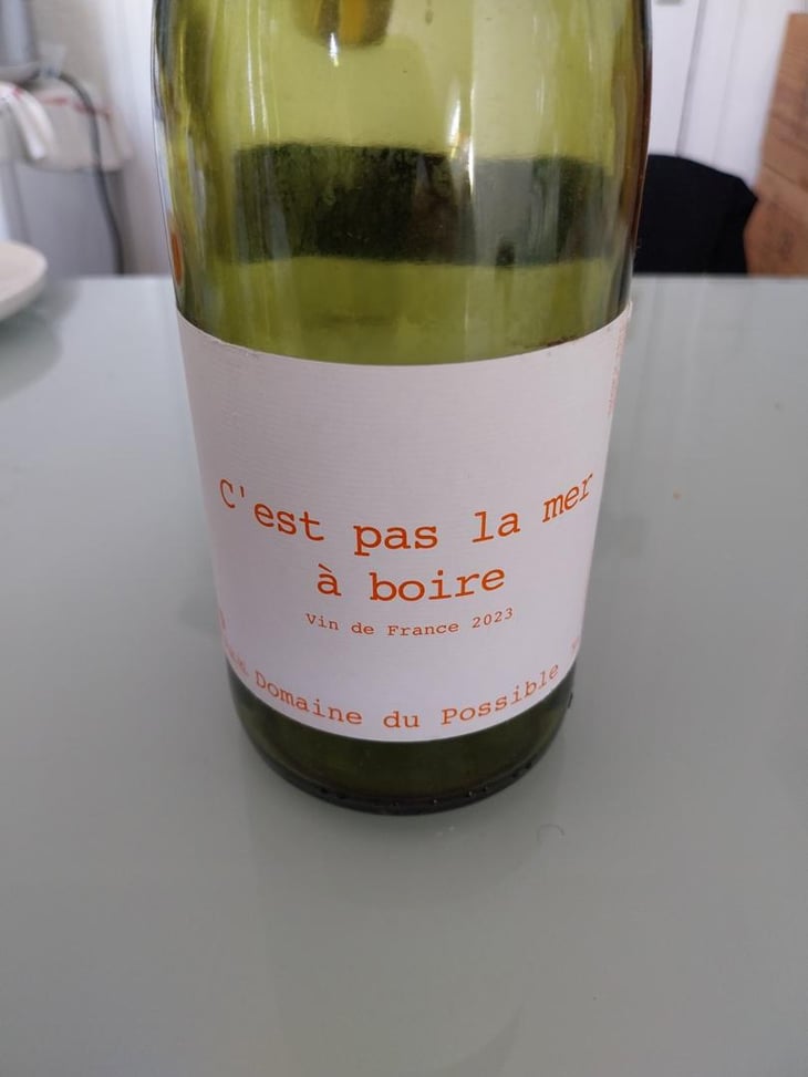 C'est pas la mer à boire - Domaine du Possible - Loïc Roure 
