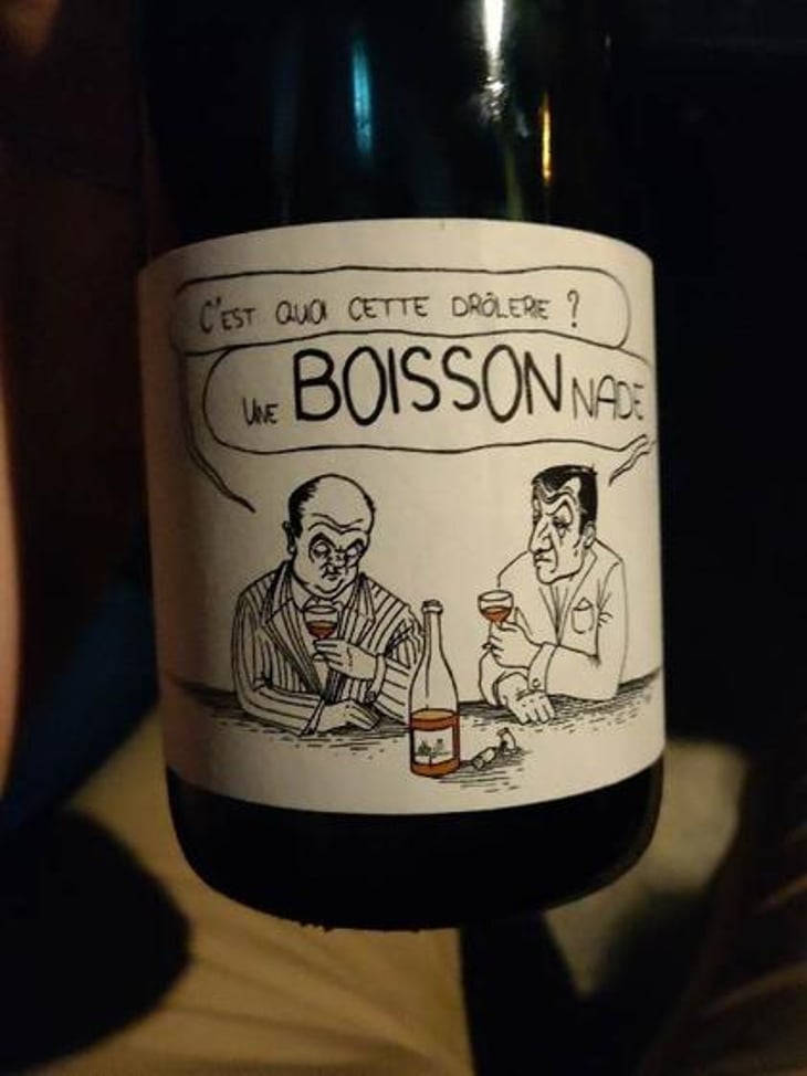C'est Quoi Cette Drôlerie? Une BOISSONnade - Domaine Pierre Boisson - Pierre Boisson 