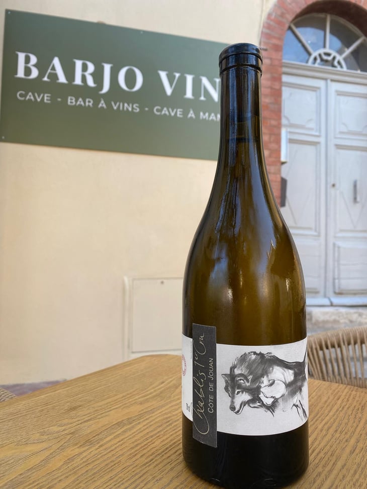 Chablis 1 er Cru Cote jouan - Domaine Pattes Loup - Thomas Pico -2019