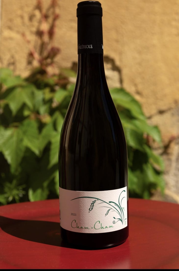 Cham Cham - Mas De Valeriole - Famille Michel -2017