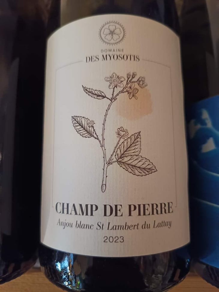 Champ de Pierre - Domaine des Myosotis - Justine Rivet et Romain Bourreau 
