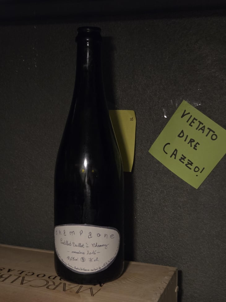 Champagne Blanc de Blancs - Bastien Pointillart - Bastien Pointillart 