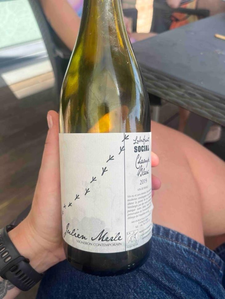 Champs Blanc - Julien Merle - Julien Merle -2019