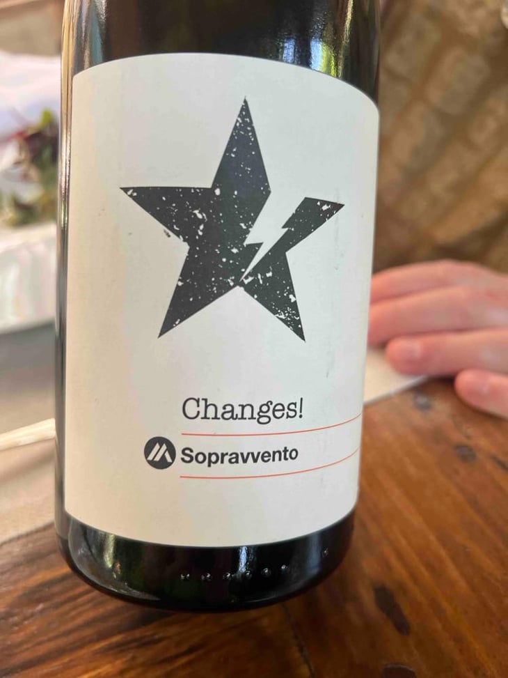 Changes - Sopravvento - Michele & Matteo Melfa 
