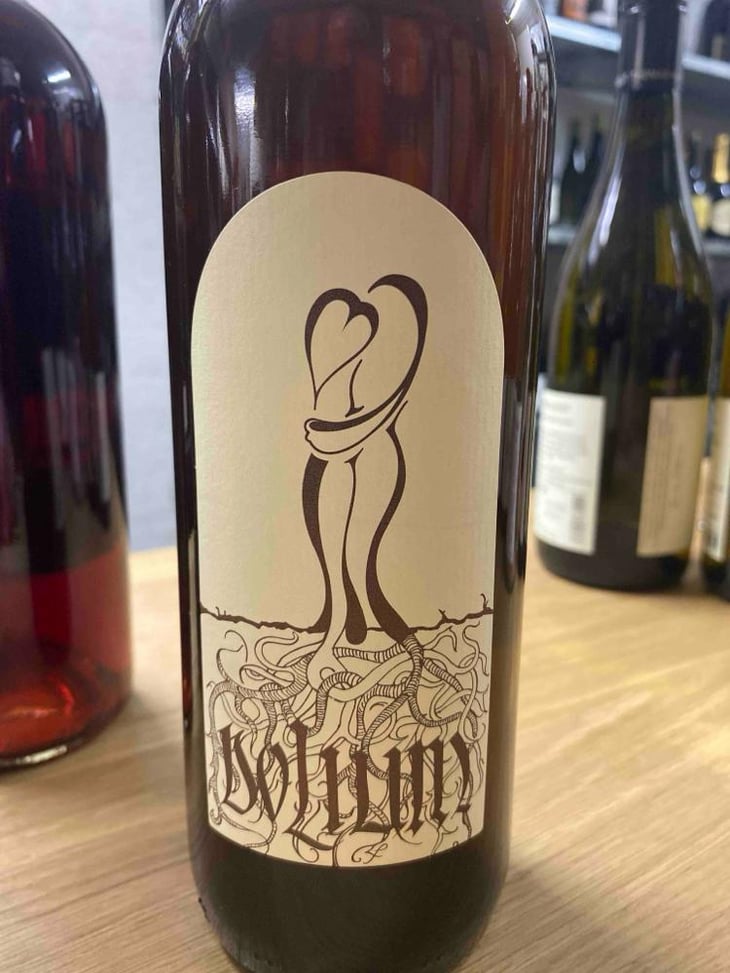 Chardonnay - Vinarstvo Zorjan - Marija & Božidar Zorjan -2017