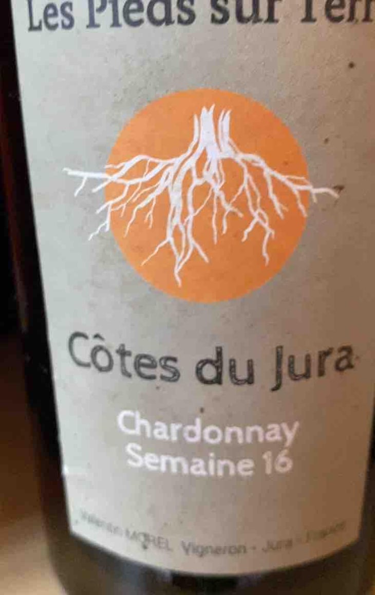Chardonnay Semaine 16 - Les Pieds Sur Terre - Valentin Morel 