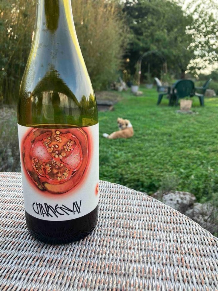 Charpenay - Domaine de la Gapette - Victor Blondin 