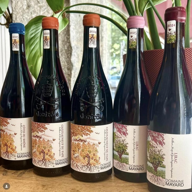 Châteauneuf-du-Pape - Domaine Mayard - Arthur et Hugo Mayard -2022