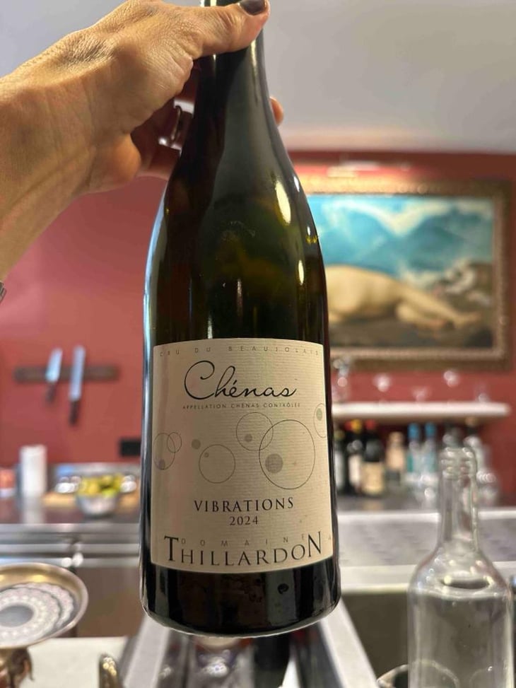 Chenas "Vibrations" - Domaine Thillardon - Aude, Jean-Baptiste, Charles et Paul-Henri Thillardon -2022