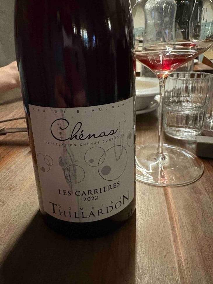 Chenas "Vibrations" - Domaine Thillardon - Aude, Jean-Baptiste, Charles et Paul-Henri Thillardon -2022