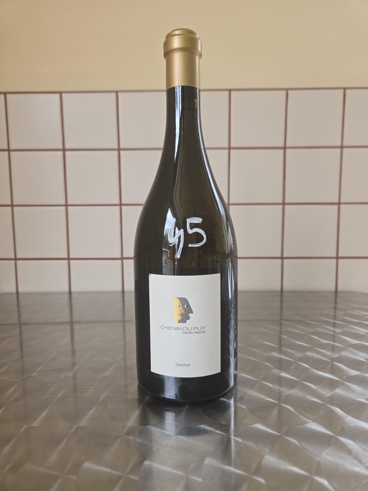 Chenin Du Puy - Domaine Frédéric Mabileau - Rémy Mabileau 